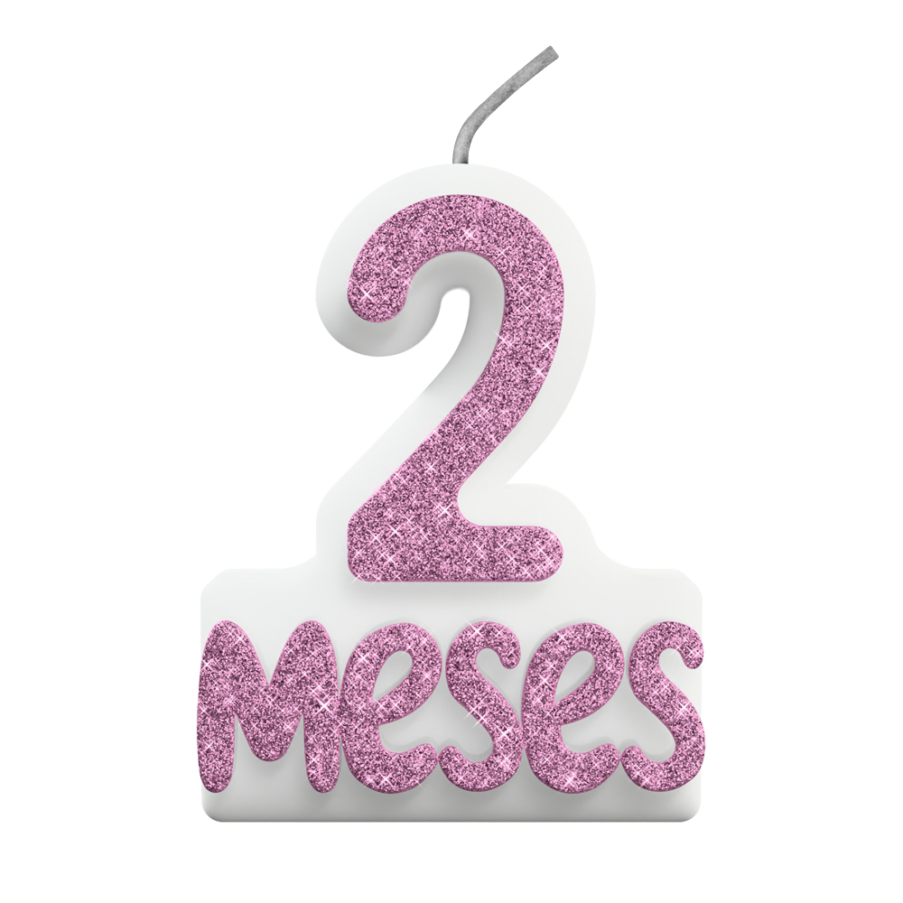 VELA MESVERSARIO N° 2 ROSA