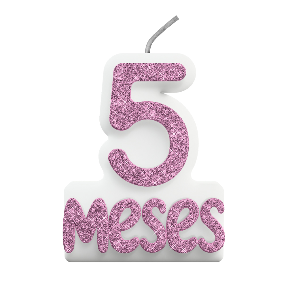 VELA MESVERSARIO N° 5 ROSA